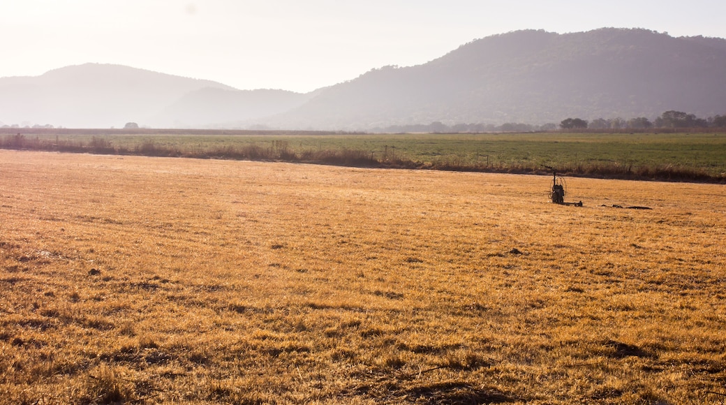 A vast, golden field with a tractor in the distance, surrounded by rolling hills and a hazy sky.
