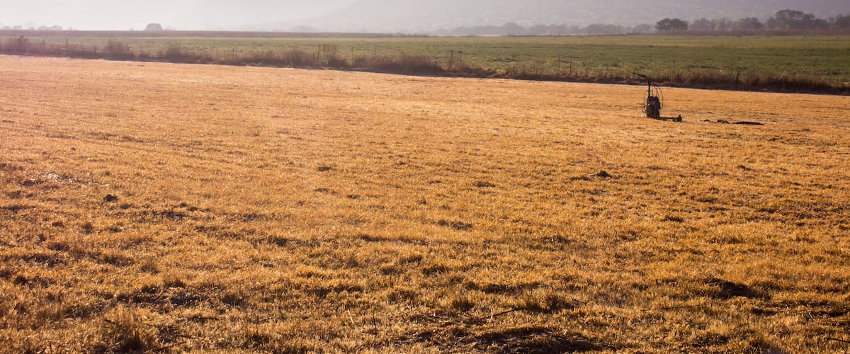 A vast, golden field with a tractor in the distance, surrounded by rolling hills and a hazy sky.