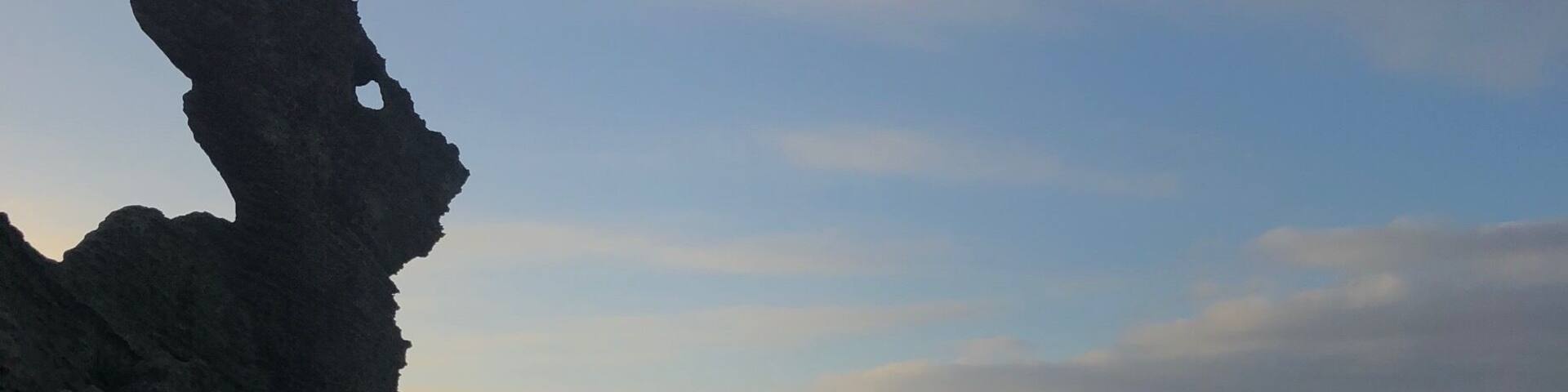 Gazing out to sea....