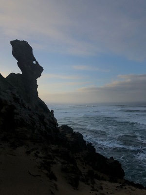 Gazing out to sea....