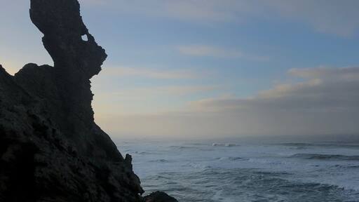 Gazing out to sea....