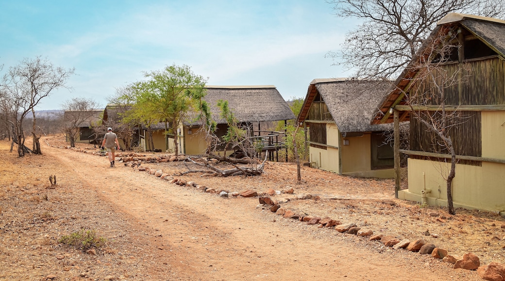 Réserve animaliÚre de Balule