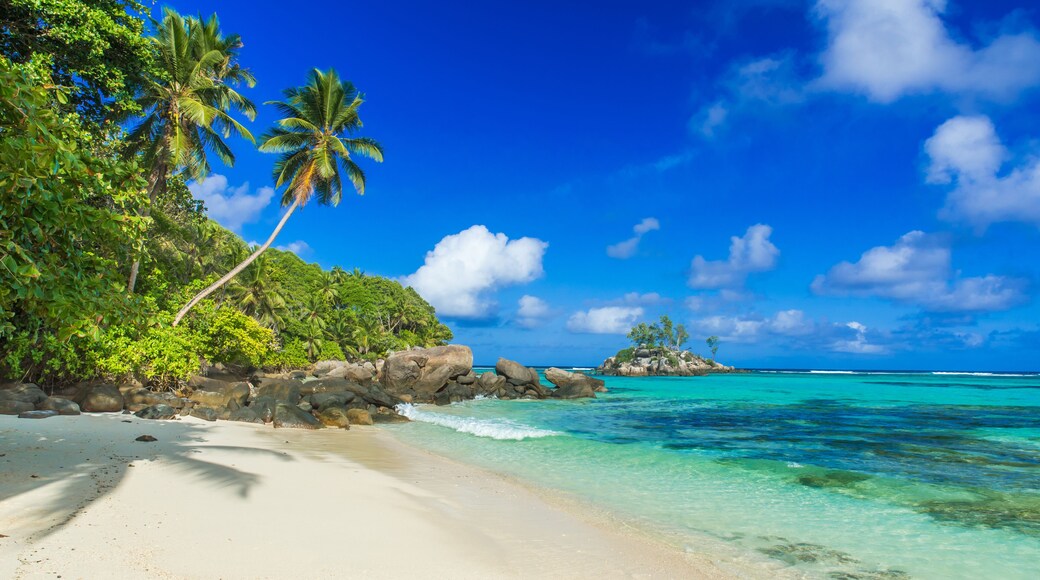 A tropical beach with clear turquoise water, white sand, palm trees, and a rocky outcrop in the distance.