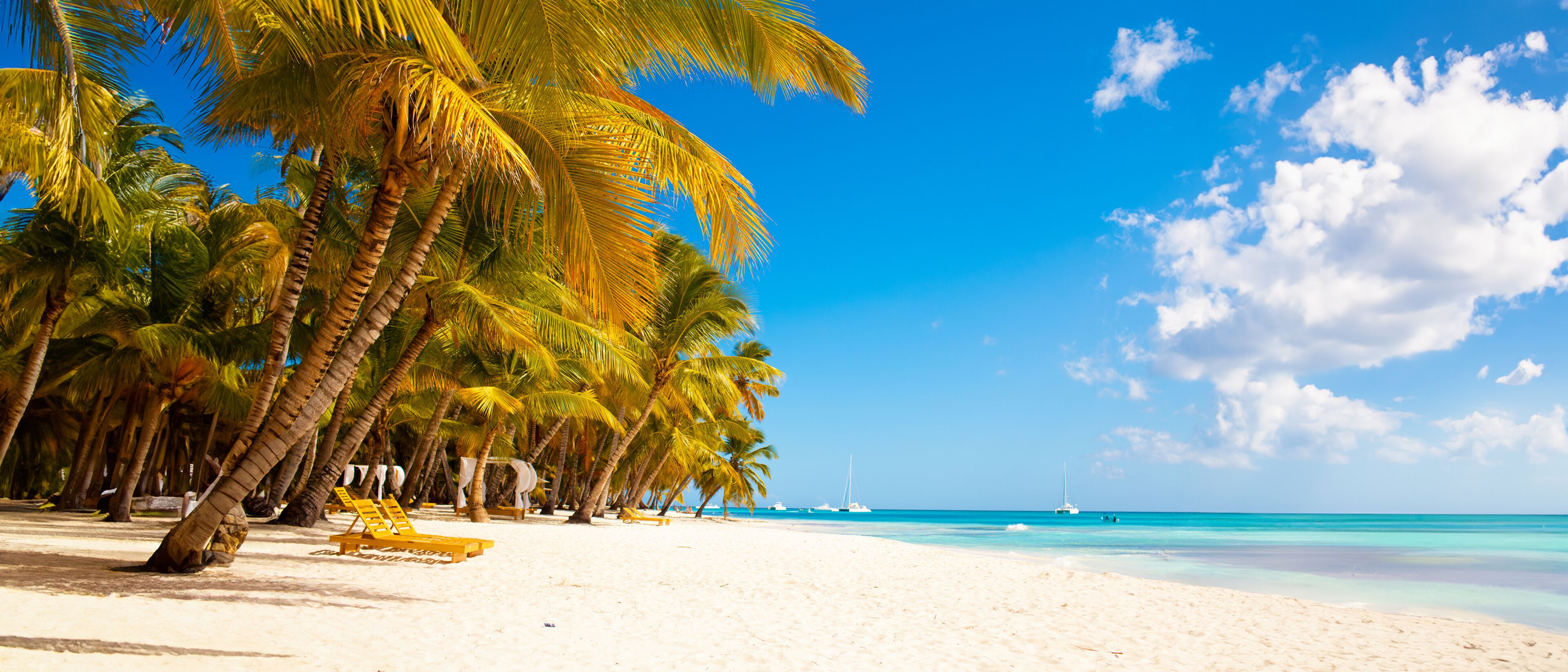 Vacation summer holidays background wallpaper - sunny tropical Caribbean paradise beach with white sand in Seychelles Praslin island Thailand style with palms