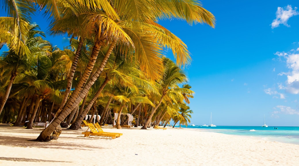 A beach with palm trees, clear blue sky, and a boat in the water.
