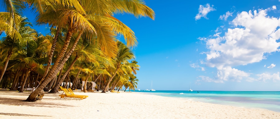 Vacation summer holidays background wallpaper - sunny tropical Caribbean paradise beach with white sand in Seychelles Praslin island Thailand style with palms