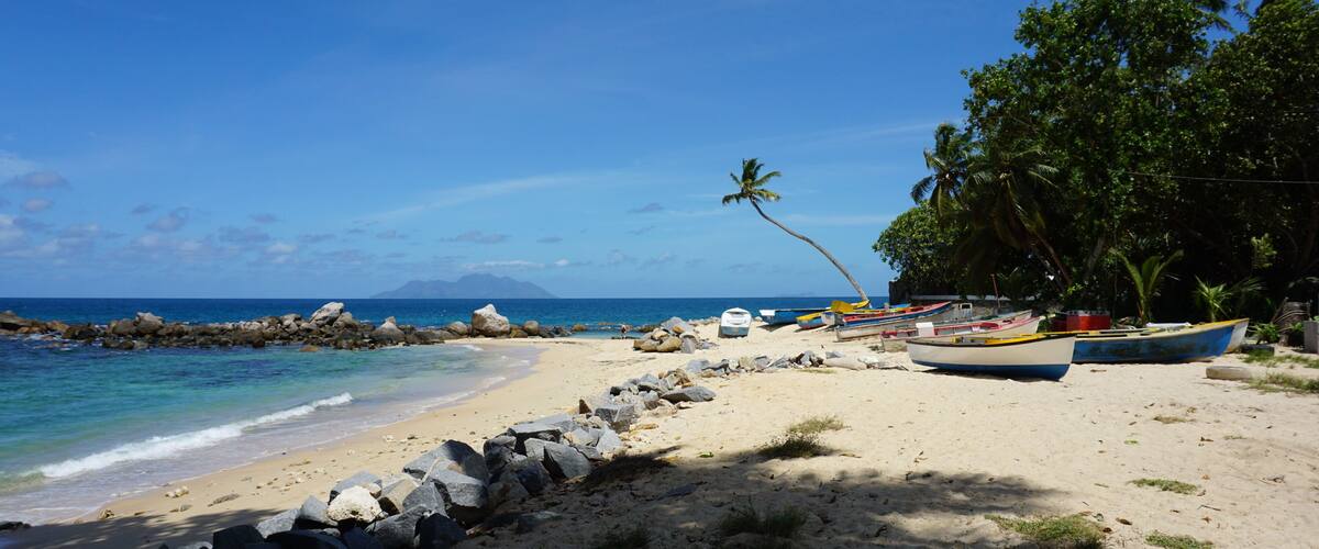 A beach with boats, rocks, and palm trees.