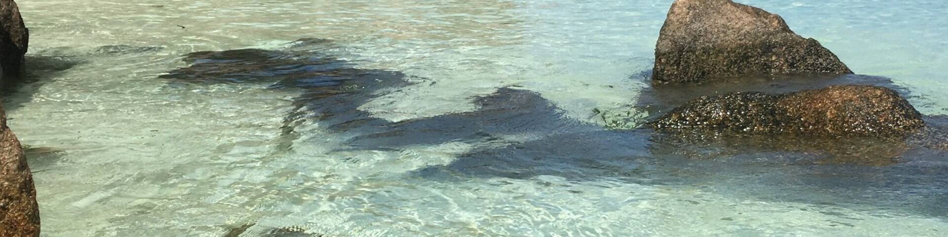 The clearest water I've ever seen and boy is it warm!