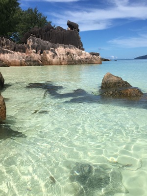 The clearest water I've ever seen and boy is it warm!