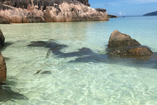 The clearest water I've ever seen and boy is it warm!