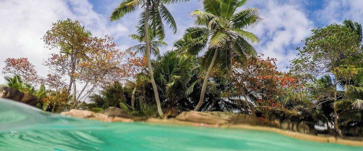 St.Pierre Island in the Seychelles is an amazing spot to dive into the crystal clear water filled with colorful fish. It is like a fantasy this little island with palm trees in middle of the sea. #AquaTrove
