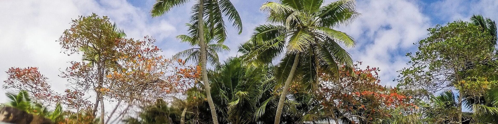 St.Pierre Island in the Seychelles is an amazing spot to dive into the crystal clear water filled with colorful fish. It is like a fantasy this little island with palm trees in middle of the sea. #AquaTrove