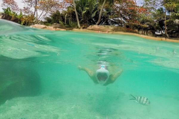 St.Pierre Island in the Seychelles is an amazing spot to dive into the crystal clear water filled with colorful fish. It is like a fantasy this little island with palm trees in middle of the sea. #AquaTrove
