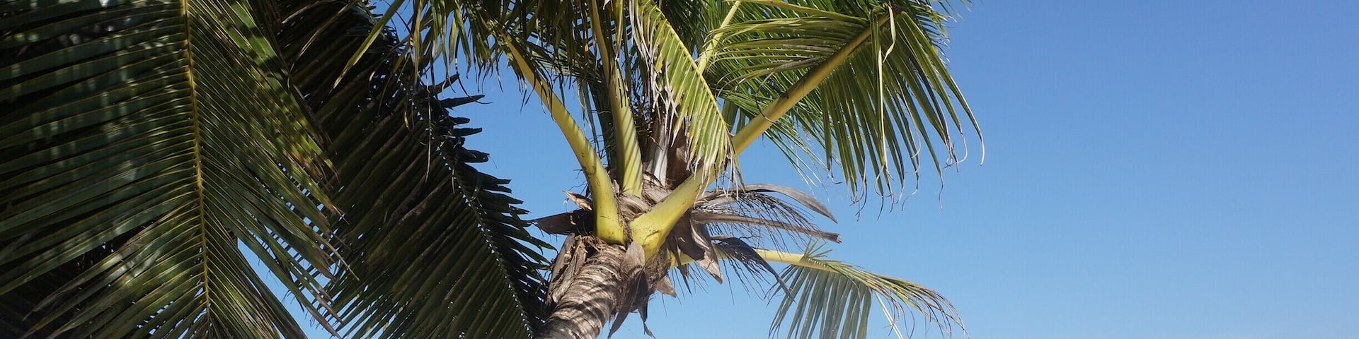 Anse Royale - Seychells