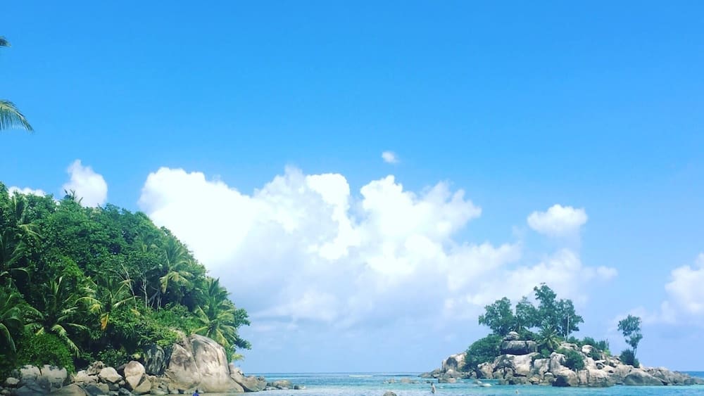 #LifeAtExpedia The most beautiful beach in Seychelles - so many secret spots to hide ☀️