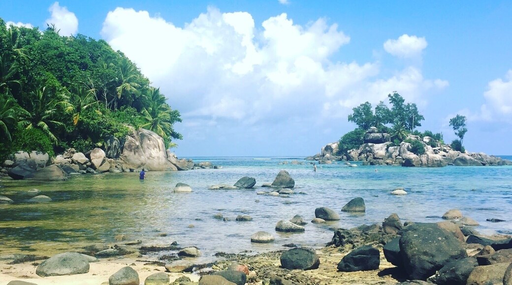 #LifeAtExpedia The most beautiful beach in Seychelles - so many secret spots to hide ☀️
