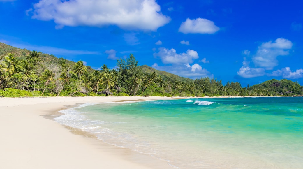 Anse Kerlan - Tropical beach in Seychelles, Praslin