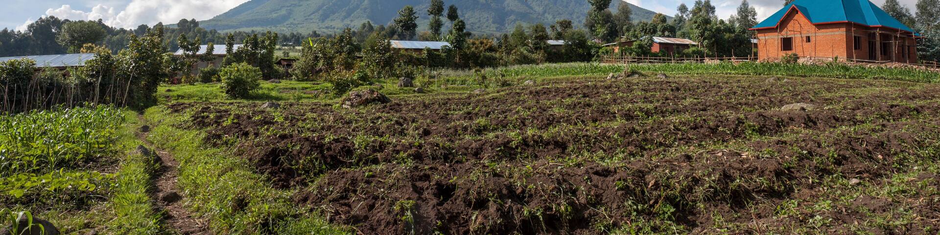 KINIGI, RWANDA : rural landscape in front of Mt Sabinyo volcano, home to highly threatened mountain gorilla's in Volcanoes National Park