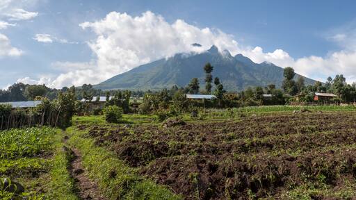 KINIGI, RWANDA : rural landscape in front of Mt Sabinyo volcano, home to highly threatened mountain gorilla's in Volcanoes National Park