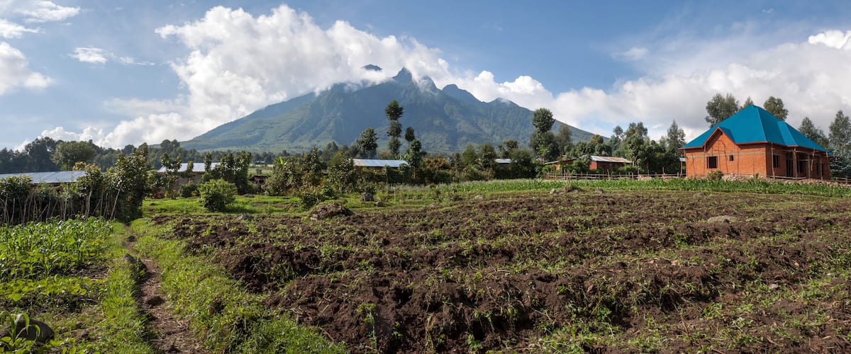 A rural landscape with terraced fields, a mountain in the background, and a house with a blue roof.