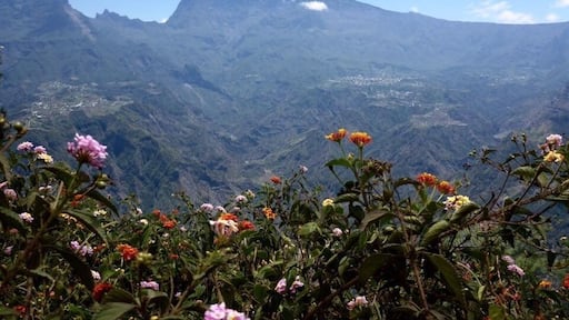 FenĂȘtre des makes