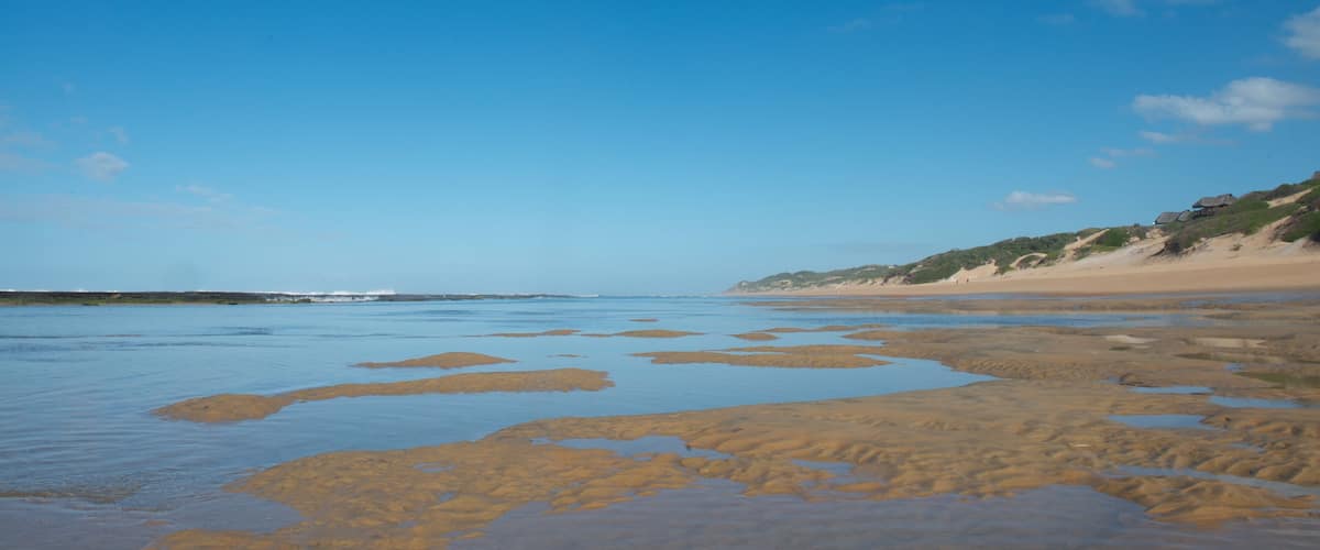 A beach with clear blue sky, sandy shore, and patches of wet sand.