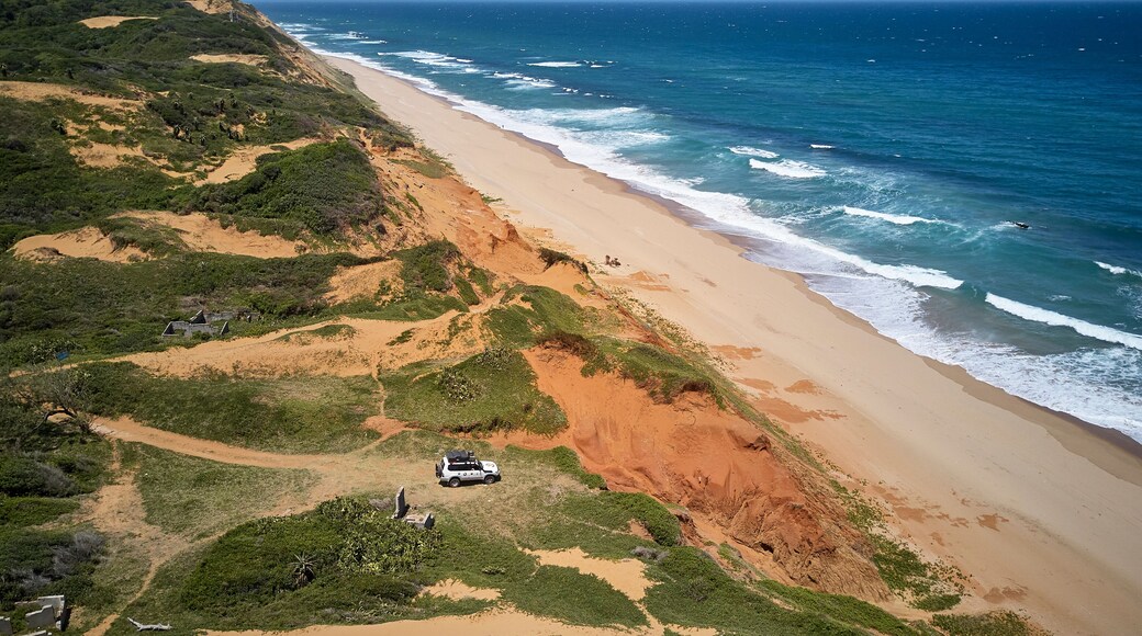 ์ค์ด์ค์ด