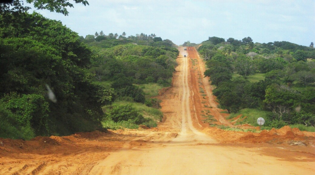 Dirt road on the way to Inhambane #roadtrip