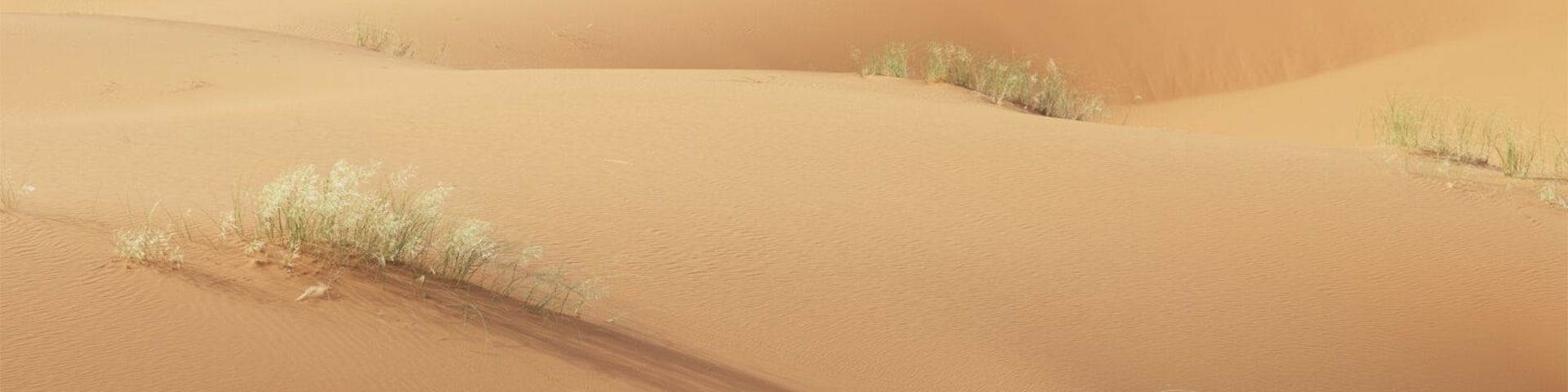 Dunes in Sahara desert near Hassilabied village, Morocco.