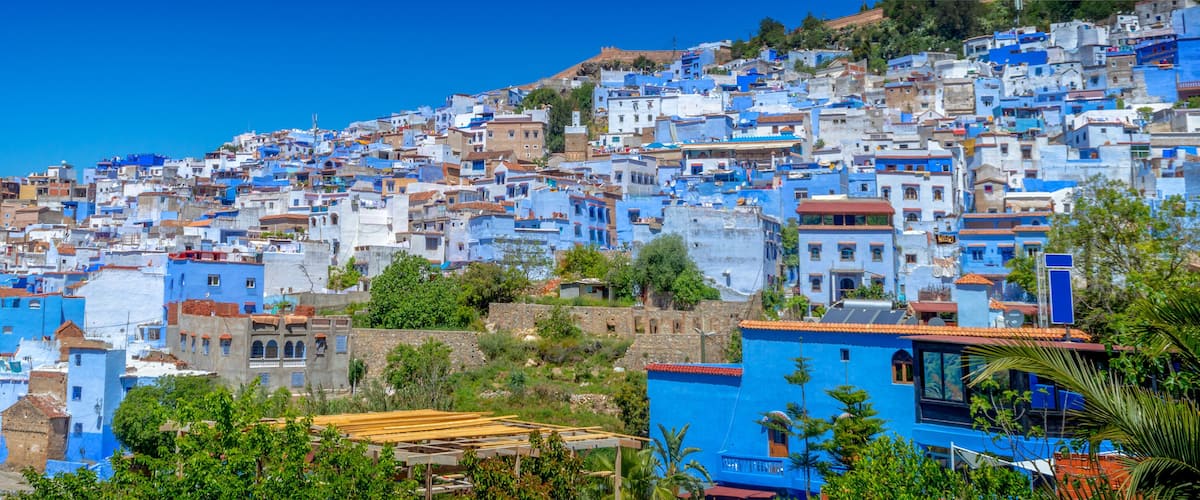 A densely packed hillside town with buildings painted in various shades of blue.