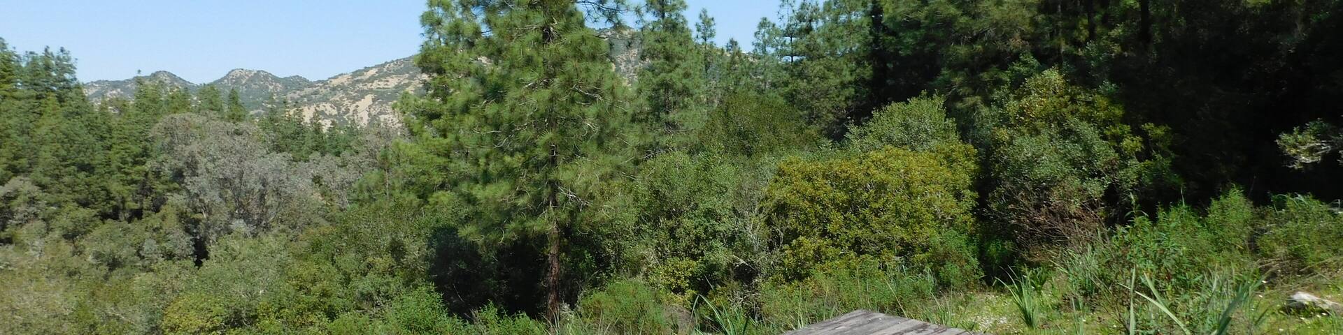 Izarn Forest Park - Province of Ouazzane - Morocco