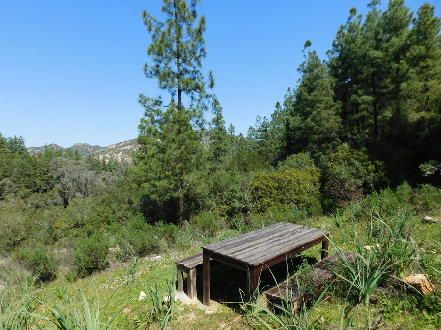 Izarn Forest Park - Province of Ouazzane - Morocco