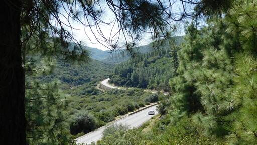Izarn Forest Park - Province of Ouazzane - Morocco
