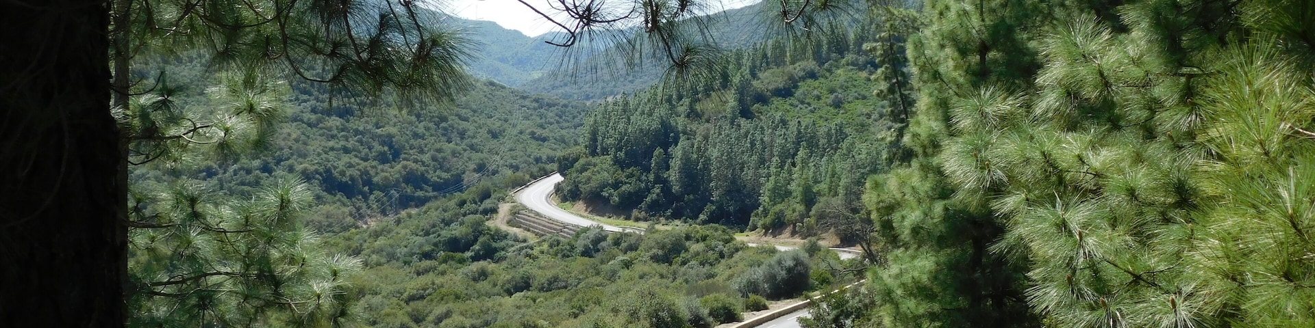 Izarn Forest Park - Province of Ouazzane - Morocco