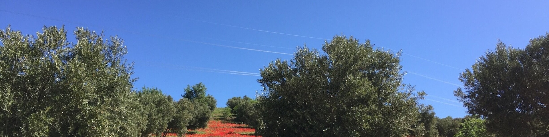 Dans le parc national de Tazekka près de la
Ville de Taza