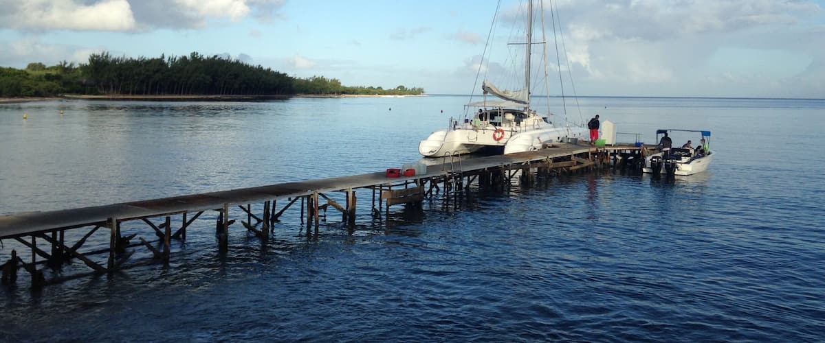 On the banks of the Black River to experience the enthralling Catamaran cruise - Dolphins, Benitiers Island..