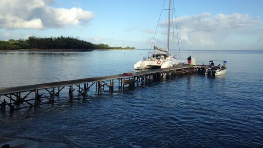 On the banks of the Black River to experience the enthralling Catamaran cruise - Dolphins, Benitiers Island..