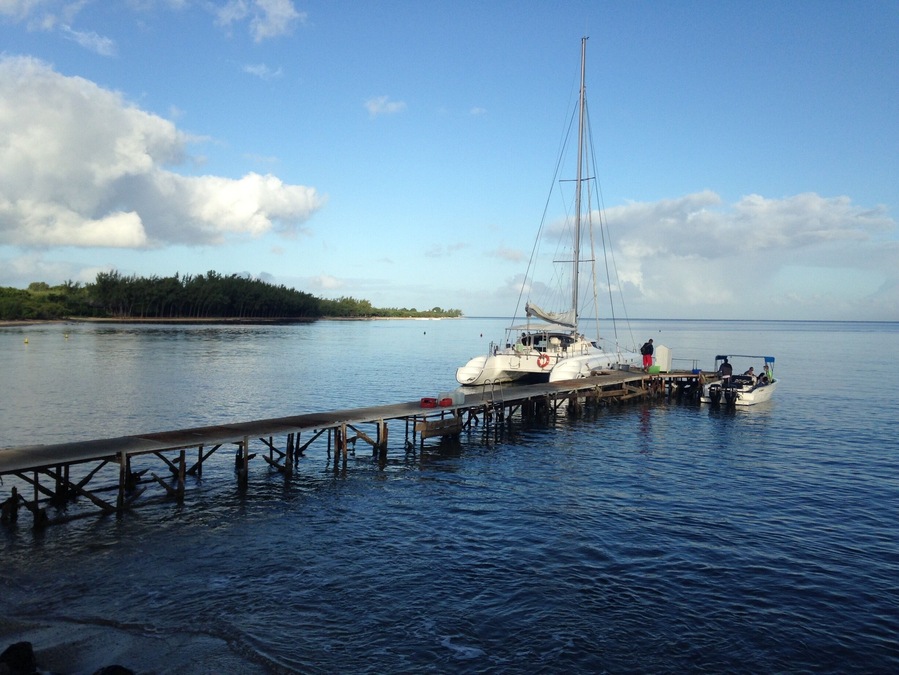 On the banks of the Black River to experience the enthralling Catamaran cruise - Dolphins, Benitiers Island..