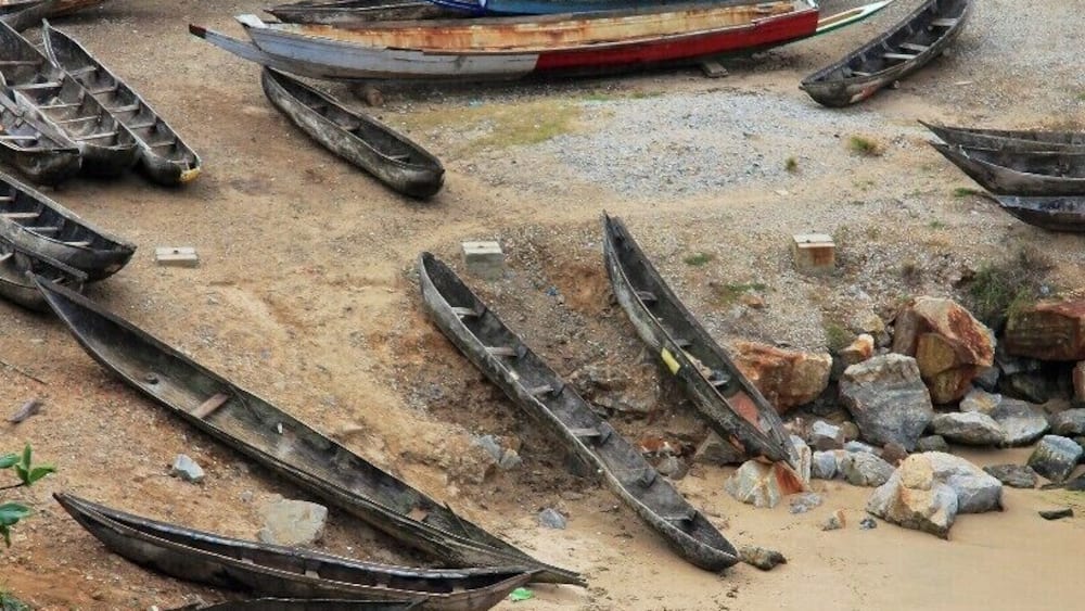 A bunch of pirogues waiting to be used by local fishermen, they are also means as a use of transport between villages close by to Taolagnaro (also known as Fort Dauphin).