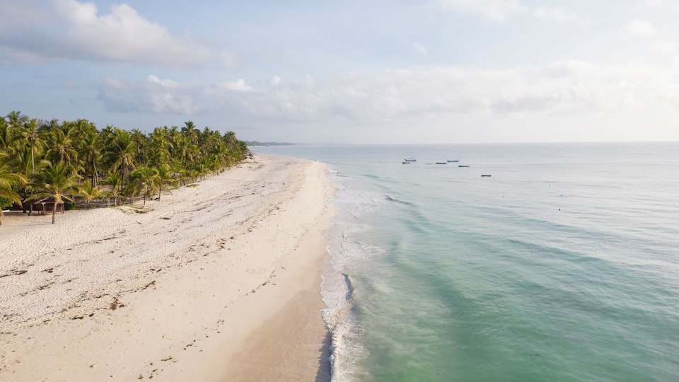 A beach with white sand, palm trees, and calm turquoise waters.
