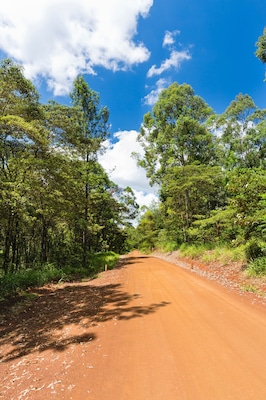 Red Karura Forest Road, Nairobi, Kenya