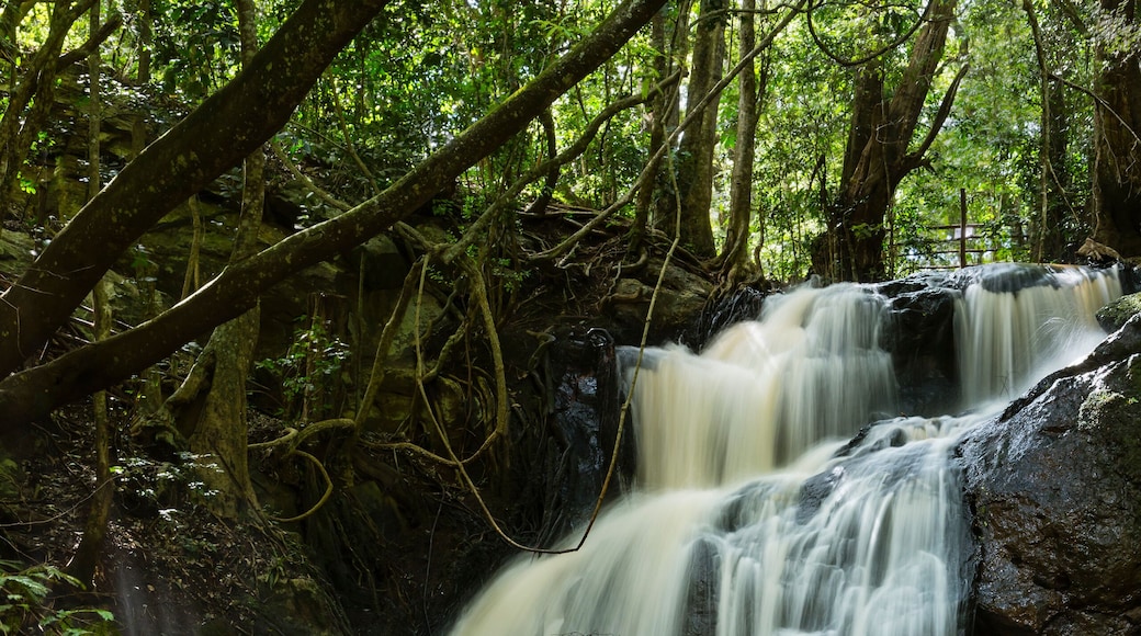 Nairobi River Waterfall in Karura Forest, Kenya