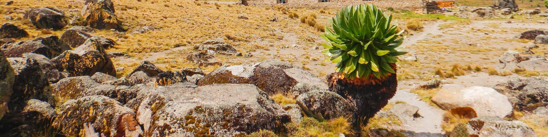 A cabin against a mountain background on Naro Moru route in Mount Kenya National Park, Kenya