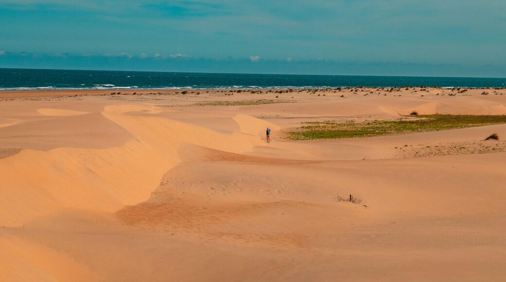 A tourist having fun on the Mambrui sand dunes in Mambrui Beach in Malindi, Kenya