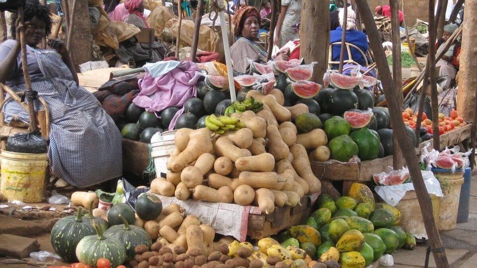 A bustling outdoor market with various fruits and vegetables displayed on tables and hanging from trees.