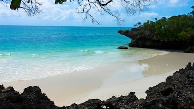 Chale Island
