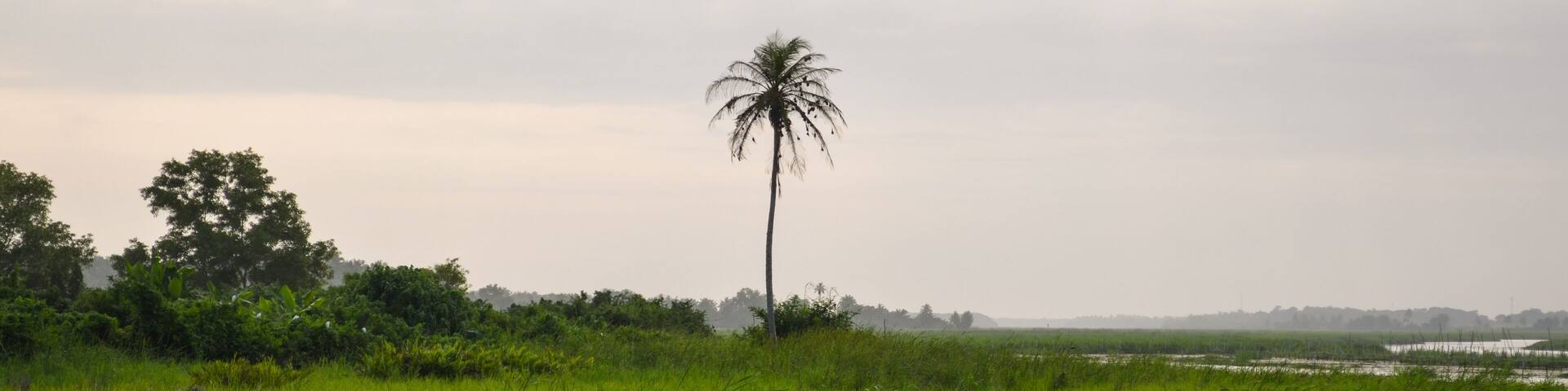 Ebrié Lagoon in Grand-Bassam, Ivory Coast