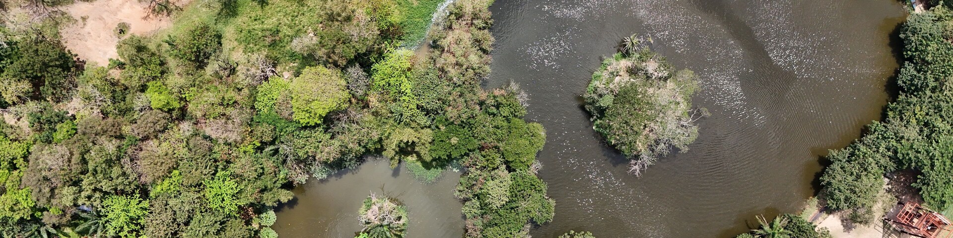 Lush aerial view of interconnected ponds amidst dense green foliage of Achimota Forest, Ghana. Ideal for nature, conservation, and tranquil landscape themes, showcasing serene wilderness from above