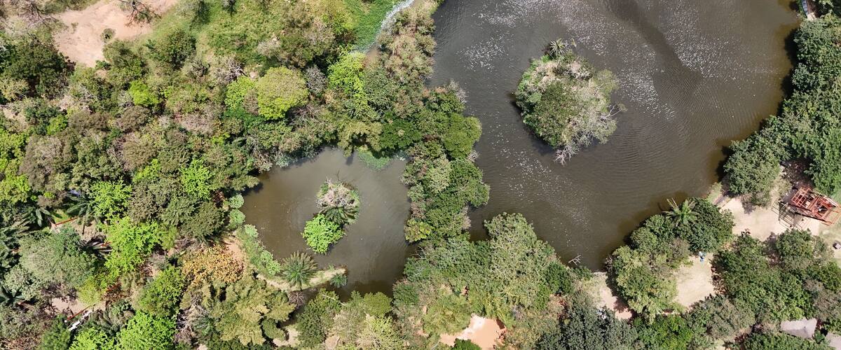 An aerial view of a river with surrounding dense vegetation and small islands.