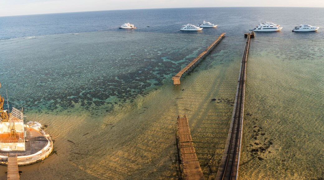 ํฌํธ ๊ฐ๋ฆฌ๋ธ